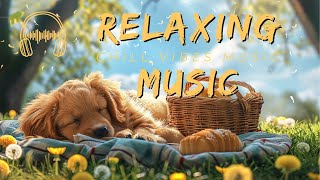 【Picnic Light Music Moments】: Picnic in the company of cute dog | 2 Hours of Pure, AdFree Music