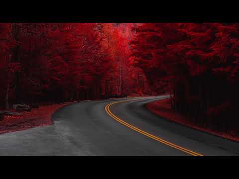 Dxppyyy Live Stream