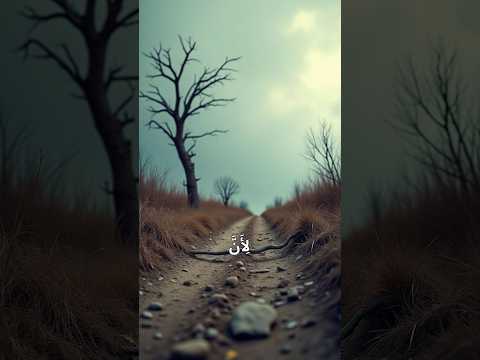 زكريا عليه السلام الجزء الأول أحمد حسين التاريخ المحنط