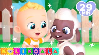 baa baaa black sheep more nursery rhymes koli koala kids