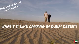 Camping in Dubai UAE made easy