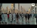 لقطات من المسجد النبوي الشريف 1444هـ 2023م 