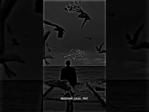 حالات وتس انا قلبي بكيسه ابو الشوق اشتراك بالقناة تصميمي اكسبلور