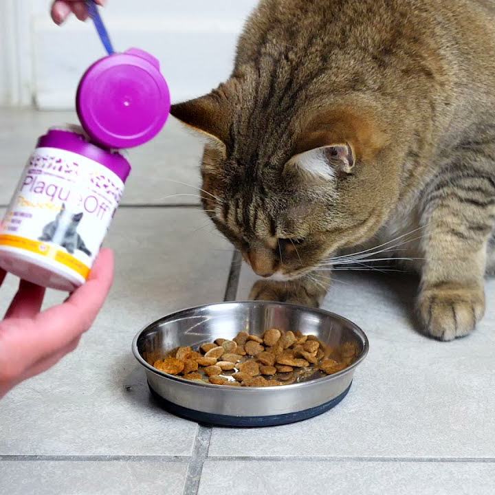 How Does Plaque Off For Dogs Work