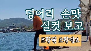 갑오징어 대신 덩어리 손맛 (포항권 조황정보) #바다낚시 #생활낚시