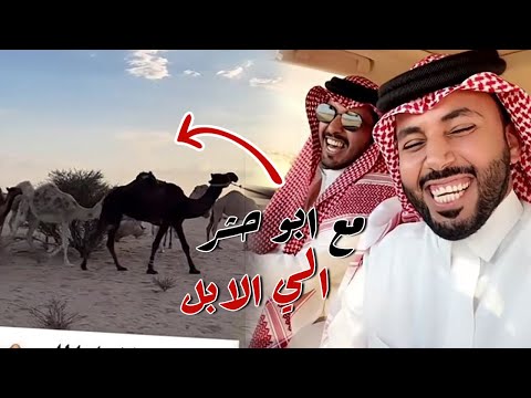 جلسه عند الابل مع ابو حشرو العم سعيد