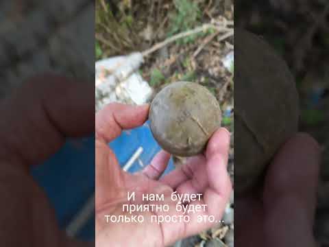 Всем привет из