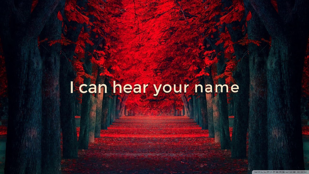 In Dreams - Lord of the Rings with Lyrics