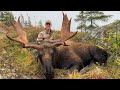 Foggy newfoundland hunt for giant bull moose  canada in the rough
