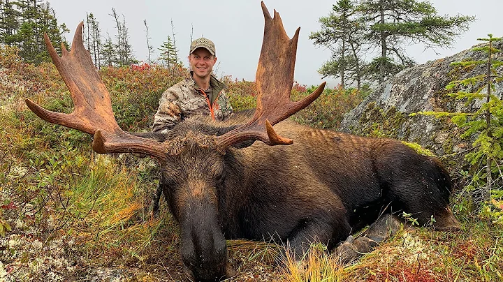 Foggy Newfoundland Hunt for Giant Bull Moose | Canada in the Rough