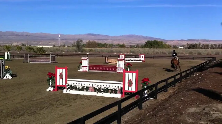Nicole Musser and Top Gun age equitation