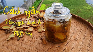 SÂM NGỌC LINH NGÂM MẬT ONG & TÁC DỤNG CHỮA BỆNH