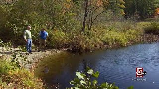 Legendary outdoor attractions in Hillsborough County