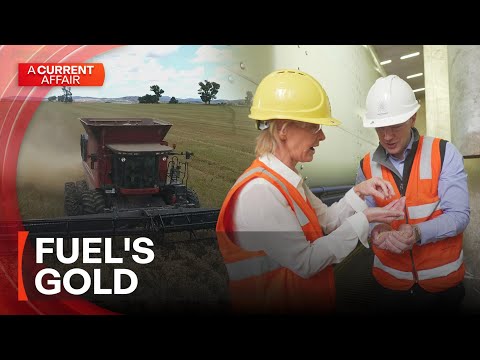 Is this alternative the answer to the fuel crisis? | A Current Affair