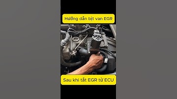 Hướng dẫn cách tắt EGR triệt để nhất | XTuning