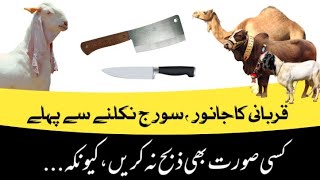 Qurbani ka Waqt | Qurbani ka Janwar | Janwar Mandi | Chaman Ali Khan Langah