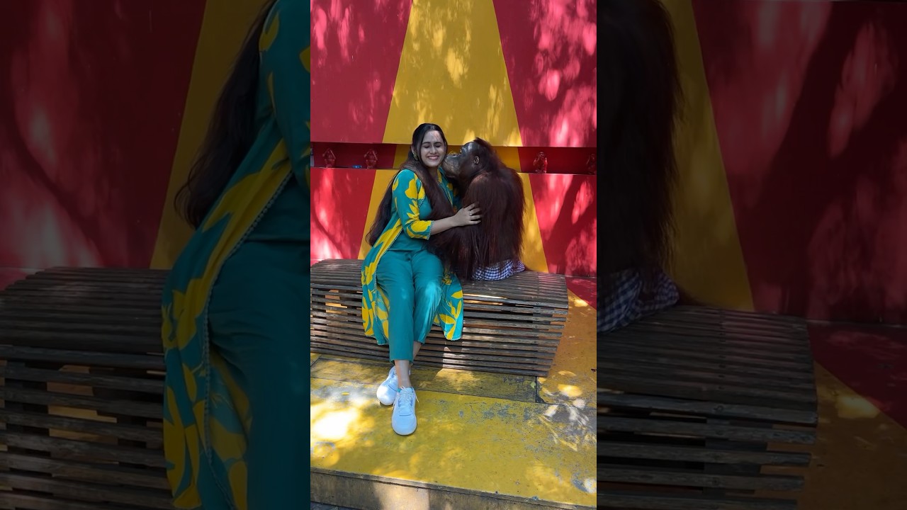 With famous influencer of Thailand 🦧 #thailand #orangutan #patharamattupromo #asianet