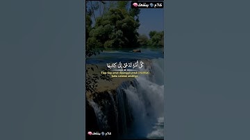 من سورة الجاثية، الآية 28. بصوت القارئ العفاسي #اكسبلور #لايك #قرآن #foryou #fyp #viralshort #quran