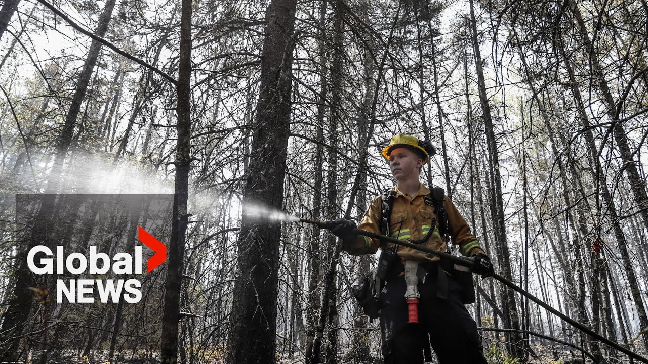 Nova Scotia wildfires: Rainy weather leaves mainly 