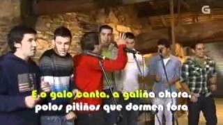 Video thumbnail of "O galo canta - A Requinta da Laxeira"