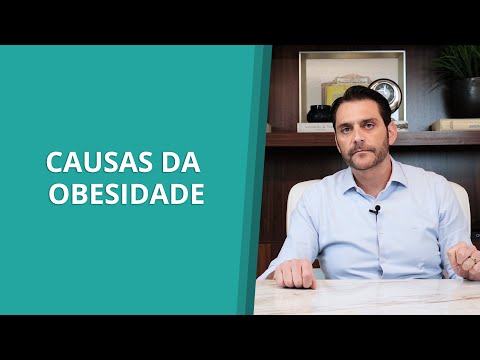 Causas da obesidade