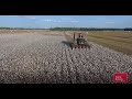 Memphis Home To Cotton Advocacy Organizations