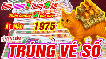 Đúng mùng 1 tháng 9 âm Tuổi QUÝ MÃO 1963 thắp hương 3 giờ vàng tổ tiên dẫn lối trúng số cực giàu
