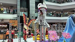 Moon Festival 2025 | Haymarket Sydney 🌕  – Culture in Motion -4K🎶