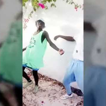 Mr Lover lover remix