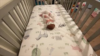 Woman charged with manslaughter after newborn's body found in trash can at University of Tampa