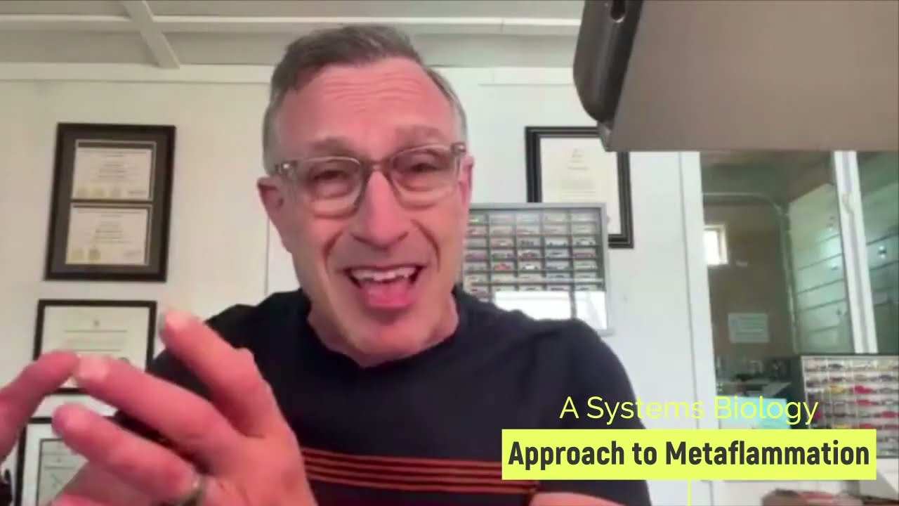 Jim LaValle on Metaflammation & Aging | SYNERGY 2025 Speaker Preview