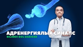 картинка: ФАРМАКОЛОГИЯ 6 САБАҚ І АДРЕНЕРГИЯЛЫҚ СИНАПС МЕХАНИЗМІ