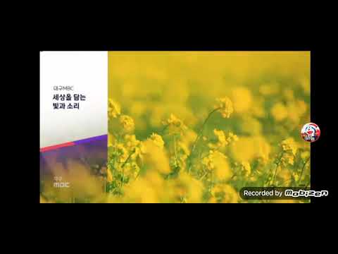 대구 MBC LD 대구 MBC 신농시직설 스폐셜 오프닝 연령고지 