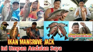 UMPAN JITU KAKAP BAKAU - MJ ( mangrove snapper )