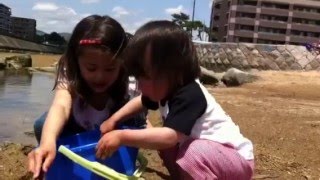 Baby flatfish and a bamboo stick
