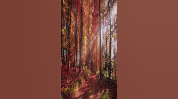 Thumbnail of Autumn Song.