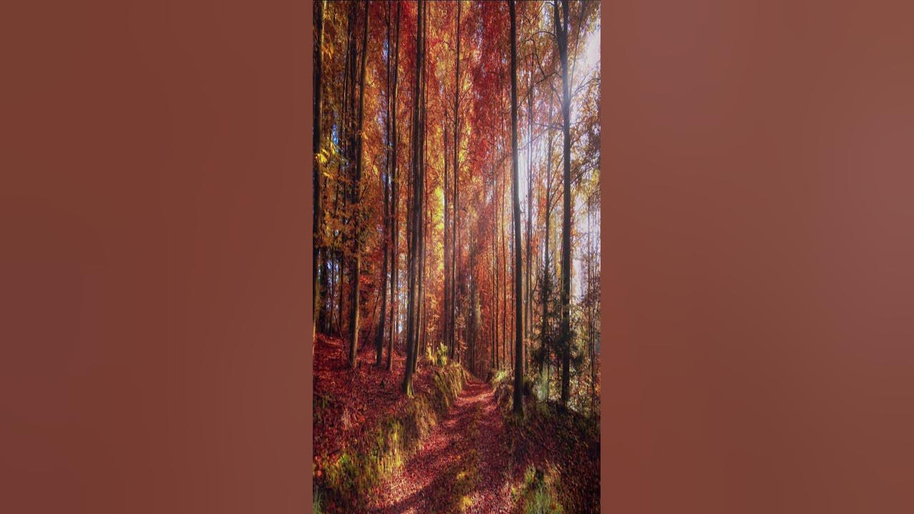 Autumn Song.