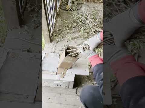 ВЕТКОРЕЗ ИЗ ЭЛЕКТРОРУБАНКА