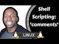 Linux  shell scripting comments