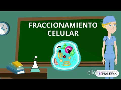 Video: ¿Cuál es el propósito del fraccionamiento celular?