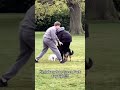 Man Sticks Finger in German Shepherd’s Butt.. to Save Tiny Dog—Insane Park Rescue Caught on Camera