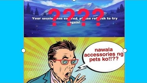 My defi pet session expired problem, lost pets or pets accessories gone