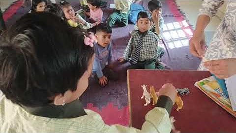 IGNOU DECE PROJECT Activity 13