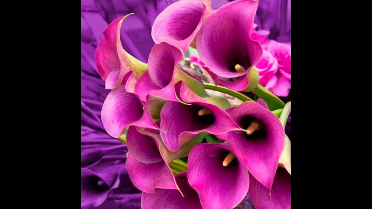 slide musical lindo!!!!!!!!!