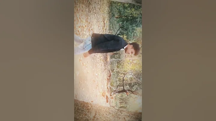 "Sanam Teri Kasam | Cinematic Shoot Status | Heart-touching Edits" sanam teri kasam reloaded version