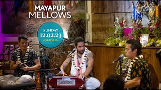 Mayapuris - Visvambhar Sheth, Krishna Kishora, Balaram Tirtha - Mayapur Mellows - 12th February 2023