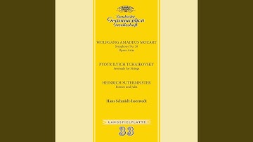 Tchaikovsky: Serenade for String Orchestra in C Major, Op. 48, TH 48: III. Elégie. Larghetto...
