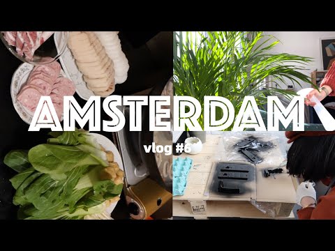 阿姆斯特丹｜荷兰生活省钱小技巧，喜提拆家第一名，小刘沉浸式火锅开箱｜二月生活记录 AMS VLOG#6 荷蘭生活日常