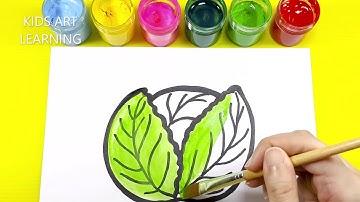How To Draw Cabbage | Easy Drawing Step By Step 😊