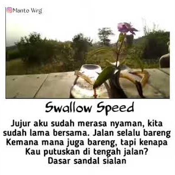 Story Wa sendal jepit